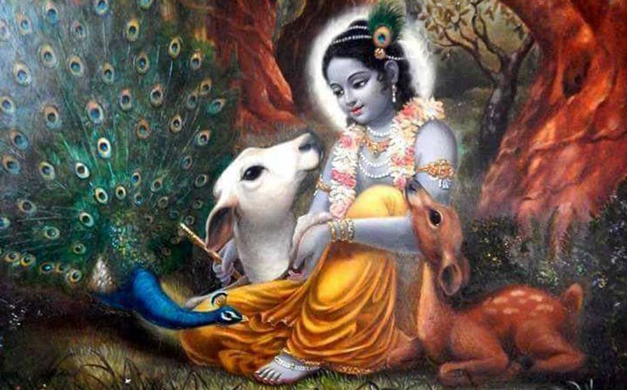 Maha Mantra Hare Krishna - A Felicidade Como Essencial
