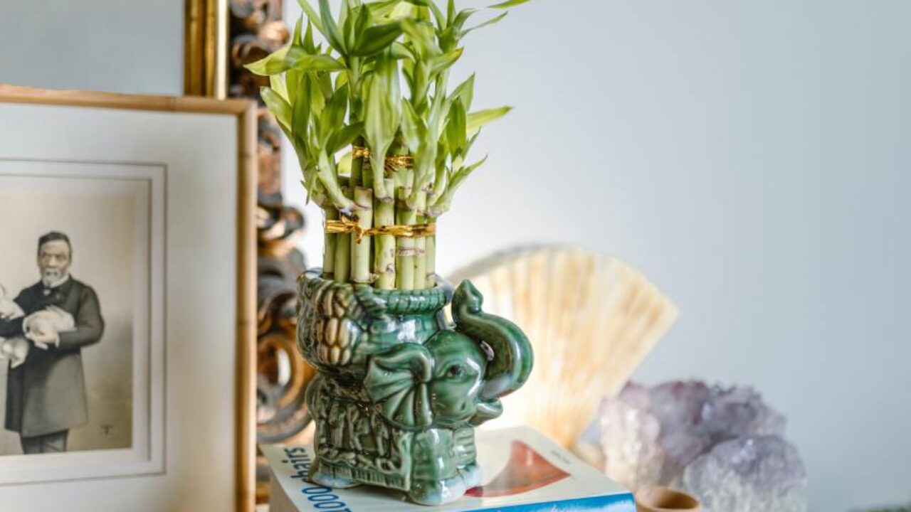 4 práticas de Feng Shui para melhorar a energia de sua casa