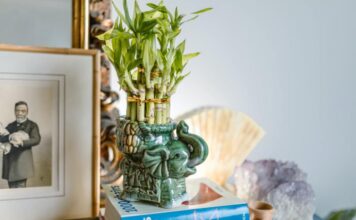 Feng Shui: dicas para manter sua casa sempre em harmonia. – Blog